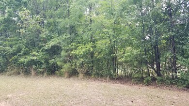 0 Cox Rd, Evans, GA 30809 - photo 7