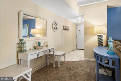 13908 N Ocean Rd unit 2b, Ocean City, MD 21842 - photo 4