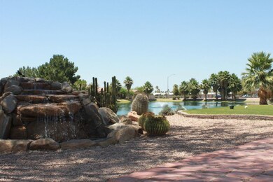 IMG_2550 - Copy