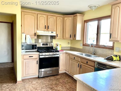 39852 Southpointe Ave, Harrison Township, MI 48045 - photo 4