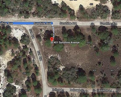 401 Sunshine Ave, Lake Placid, FL 33852 - photo 2