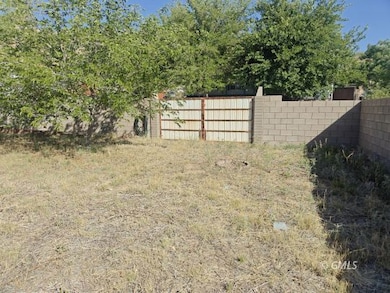 Back Gate