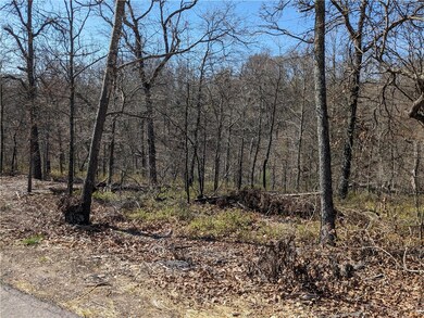 Lot 14 Bonnyrigg Ln, Bella Vista, AR 72715 - photo 5