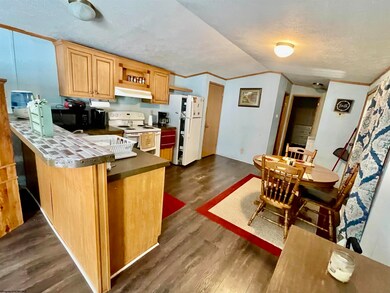 50 Boswell St, Tunnelton, WV 26444 - photo 7