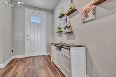 Foyer entrance with a textured wall and dark wood-type flooring