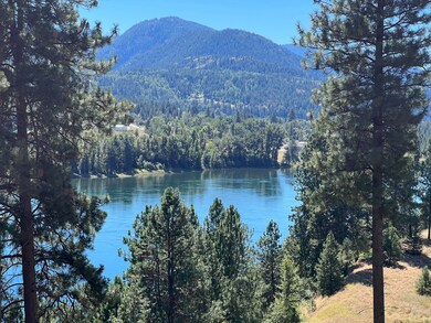 X S of Hwy W 200' Gov Lot 4, Northport, WA 99157 - photo 2