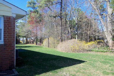 13b Monticello yard