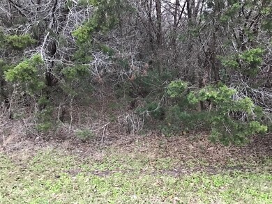 33034 Woodcrest Dr, Whitney, TX 76692 - photo 3