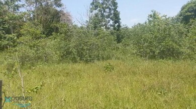 Parcela Camino Los Nieves unit 3, Arecibo, PR 00612 - photo 7