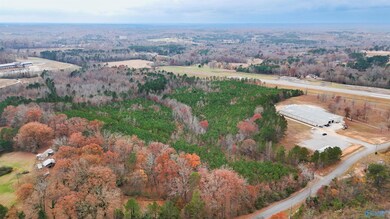 24 Acres N Star Dr, Haleyville, AL 35565 - photo 7