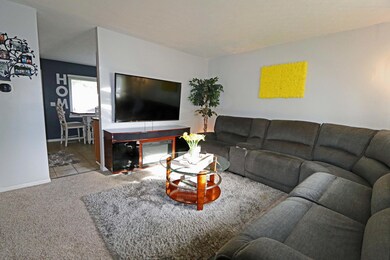 IMG_0495_edited-1
