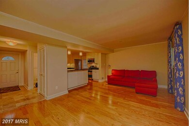 5318 Bangor Dr, Kensington, MD 20895 - photo 5