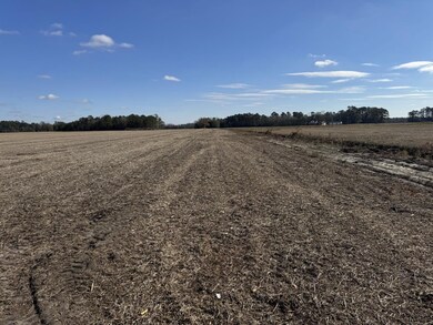 Tbd Shelley Road Coventry Rd, Nichols, SC 29581 - photo 4