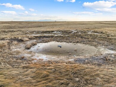 7950 N Peyton Hwy, Peyton, CO 80831 - photo 6