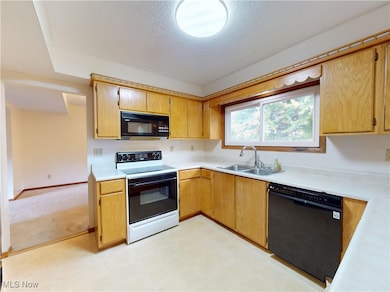 1025 S Ridge Rd E, Geneva, OH 44041 - photo 5