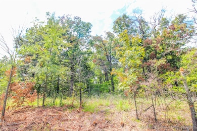 22 Belle Starr, Eufaula, OK 74432 - photo 5