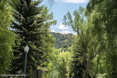 230 Lake Ave, Aspen, CO 81611 - photo 5