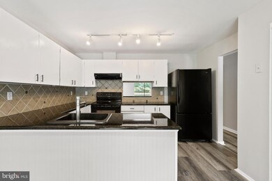 11874 Blue February Way, Columbia, MD 21044 - photo 2