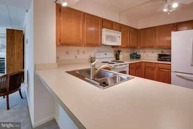 7317 Eden Brook Dr unit H202, Columbia, MD 21046 - photo 6