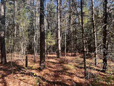 0 Cole School Rd, Beecher, WI 54156 - photo 6