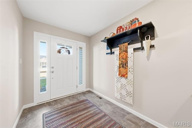 5634 Sun Bear Dr, House Springs, MO 63051 - photo 4