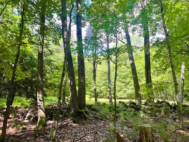 109 Jenness Pond Rd, Pittsfield, NH 03263 - photo 5