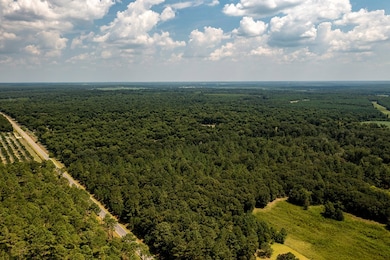 000 Shady Rd, Baconton, GA 31716 - photo 3