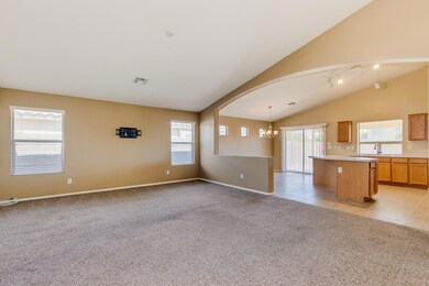 0006-Hayden - 41367 (11)