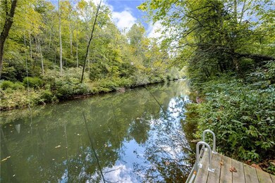 EASY PEASY...getting into the river the easy way!  Let's go swimming!