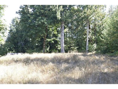 0 Two Lakes Ln unit 21296854, Triangle Lake, OR 97412 - photo 2