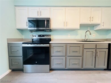 6835 Shelly Dr, Madison, OH 44057 - photo 5