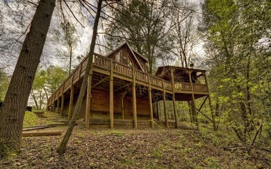 Additional View