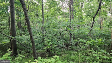 50 Oak Ridge Trail, Carroll Valley, PA 17320 - photo 4