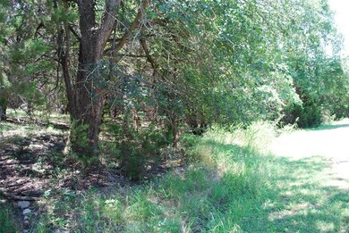 41006 Flagstone Cir, Whitney, TX 76692 - photo 3