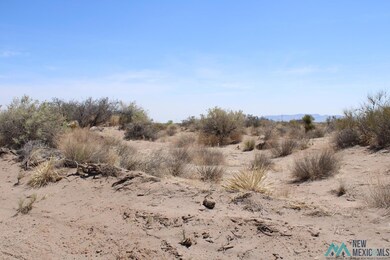 0 Rivera Rd SW unit 20222836, Deming, NM 88030 - photo 4