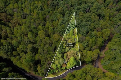 695 Satsuma Ct, Ellijay, GA 30540 - photo 5