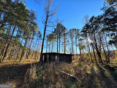 0 County Road 222 unit 10651832, Lanett, AL 36863 - photo 6