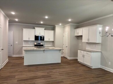 Entertainers kitchen with oversized island