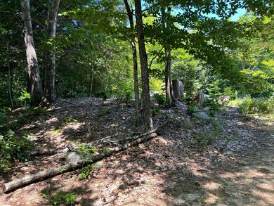 103 Vogel Rd, Raymond, ME 04071 - photo 4