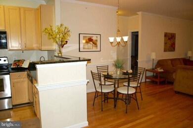 42432 Hollyhock Terrace unit 203, Ashburn, VA 20148 - photo 3