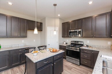 356 Butternut Ave, Circleville, OH 43113 - photo 5