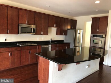 43364 Old Ryan Rd, Ashburn, VA 20148 - photo 4