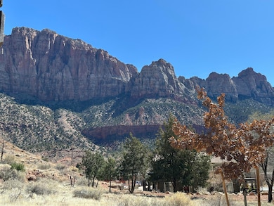 Back Yard View