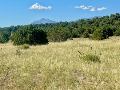 IMG_7639