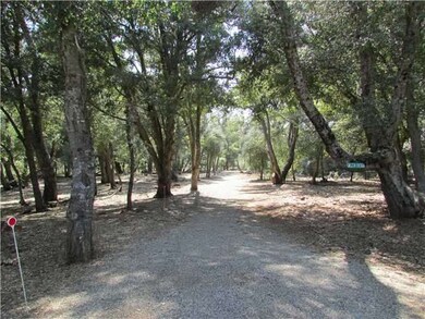 Easement from paved cul de sac to lot.