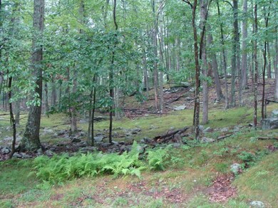 0 Juniper Ct, Lackawaxen Township, PA 18428 - photo 2