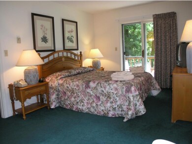 159 Deer Park Dr unit 159A, Woodstock, NH 03262 - photo 3