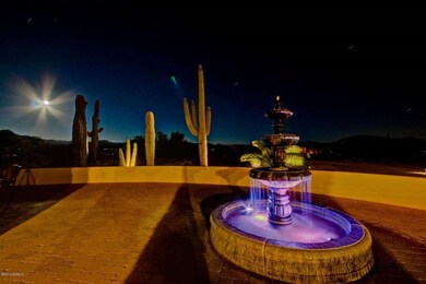 Cactus View  (95)