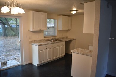 7803 Silverlace Ct, Tampa, FL 33619 - photo 3