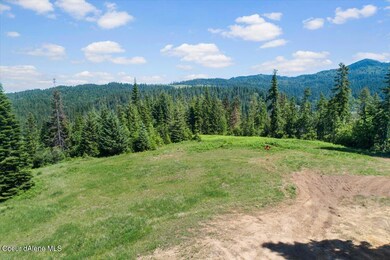 NNA E Hooker Hill Rd, Hayden, ID 83835 - photo 4